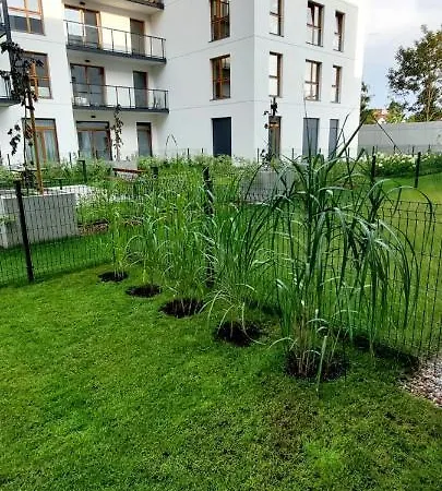 Harmonia Gdansk, Blisko Morza. * Gdańsk